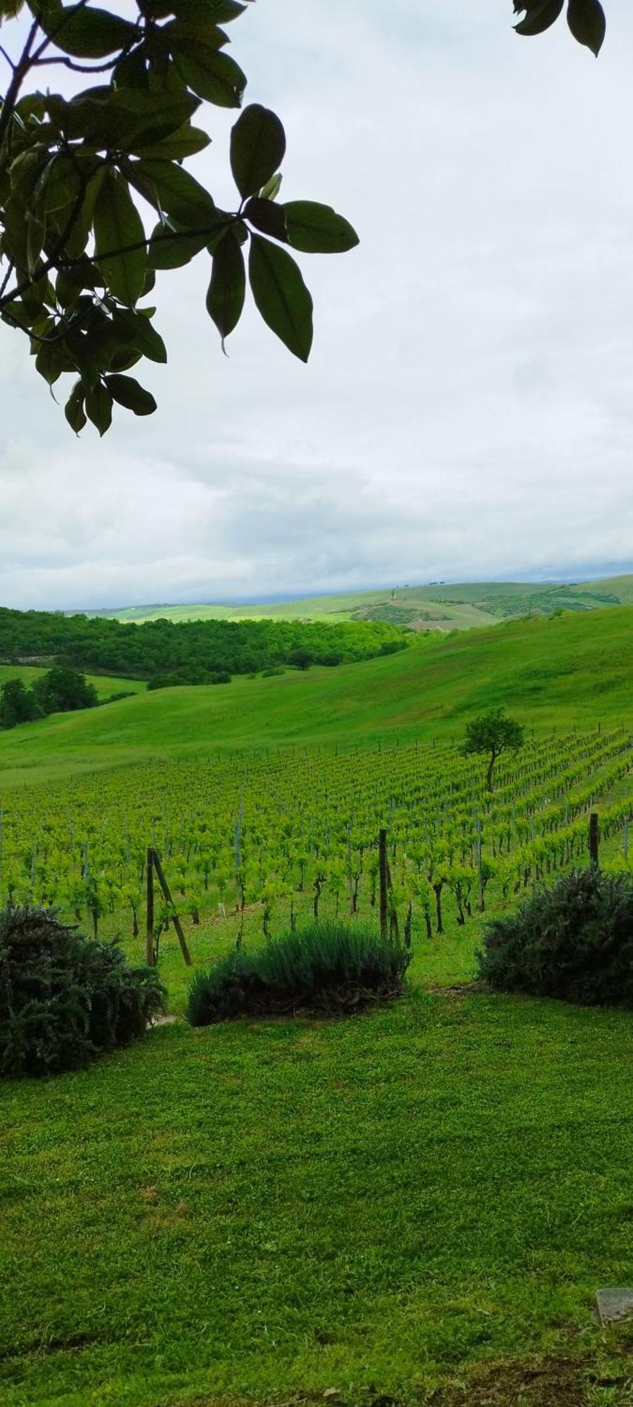 Agriturismo Bagnaia San Quirico dʼOrcia Kültér fotó