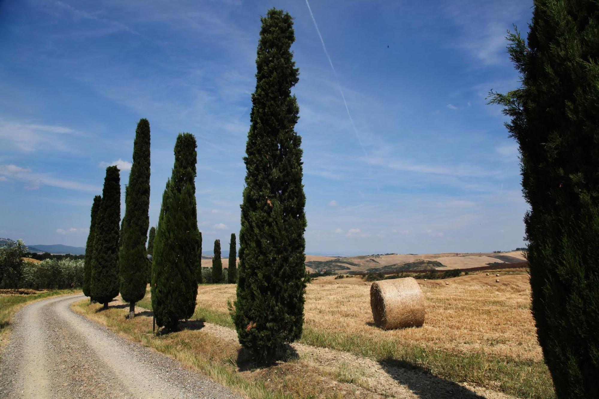 Agriturismo Bagnaia San Quirico dʼOrcia Kültér fotó