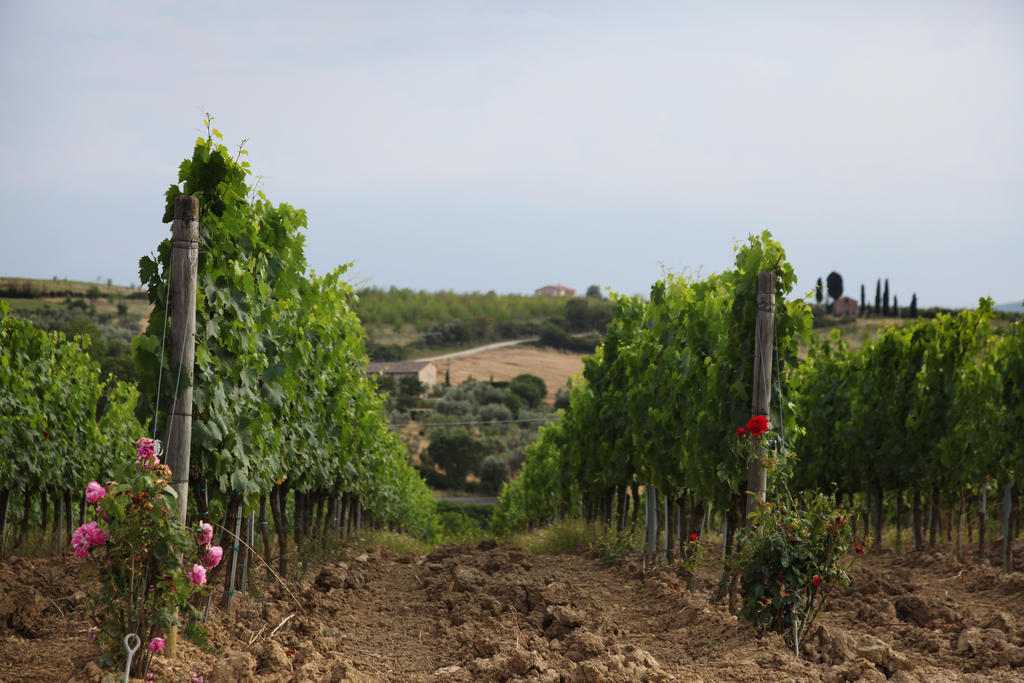 Agriturismo Bagnaia San Quirico dʼOrcia Kültér fotó