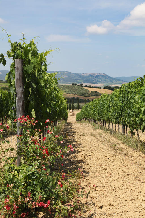 Agriturismo Bagnaia San Quirico dʼOrcia Kültér fotó
