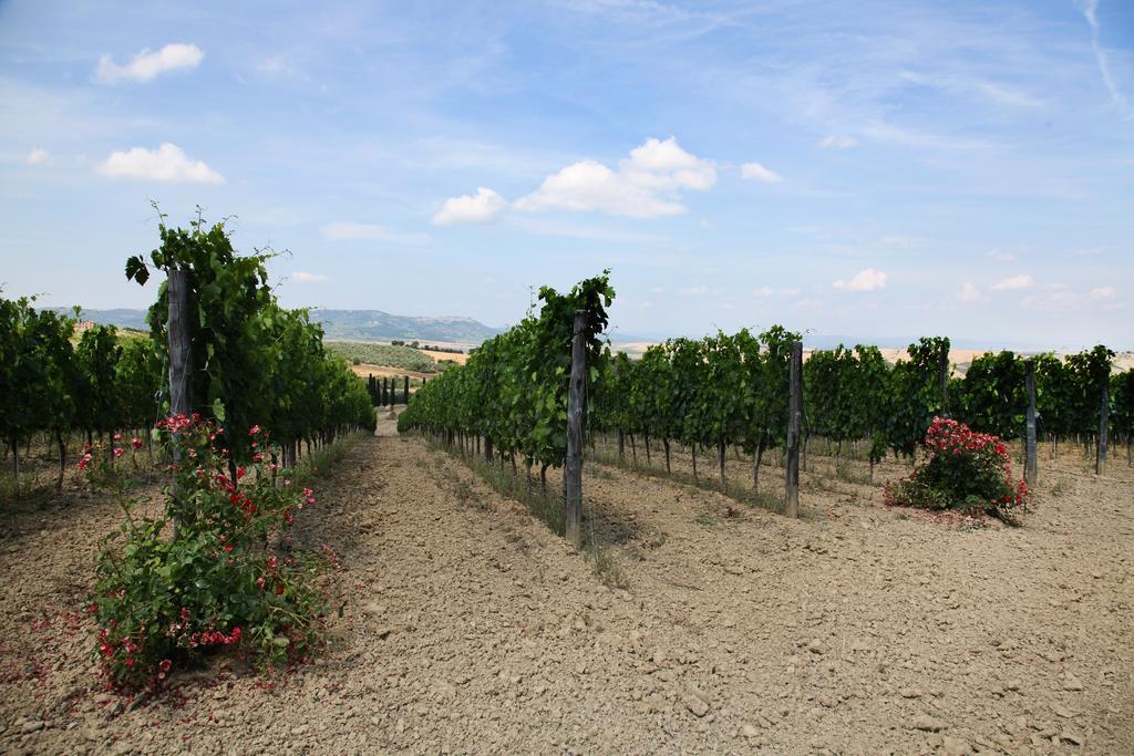 Agriturismo Bagnaia San Quirico dʼOrcia Kültér fotó