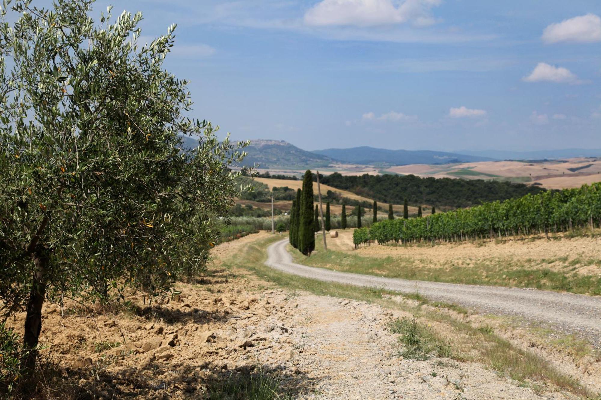 Agriturismo Bagnaia San Quirico dʼOrcia Kültér fotó