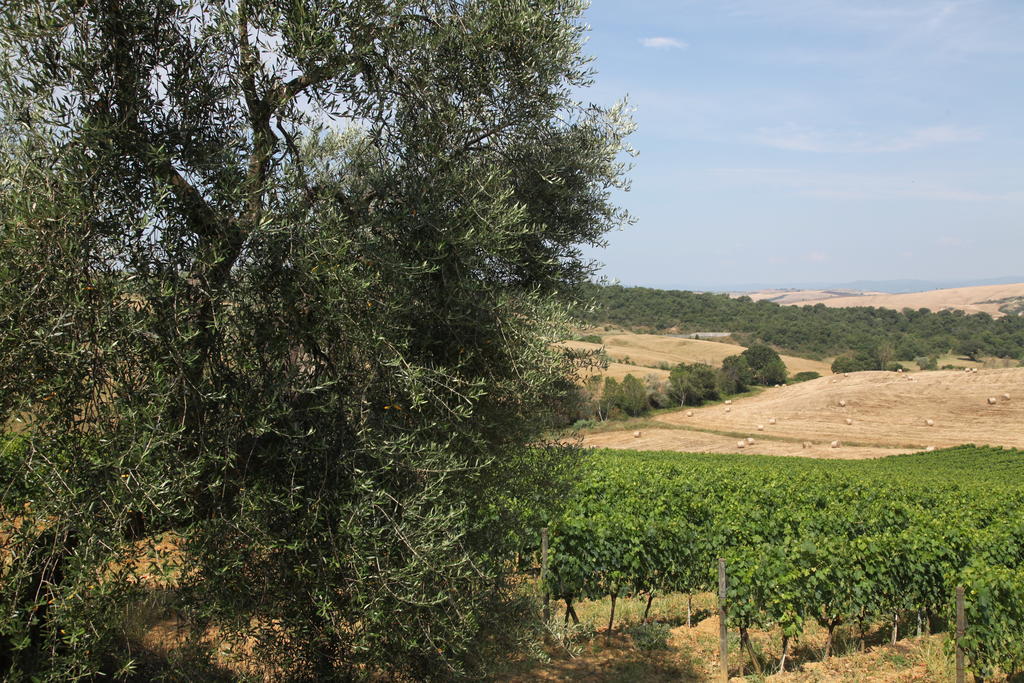 Agriturismo Bagnaia San Quirico dʼOrcia Kültér fotó