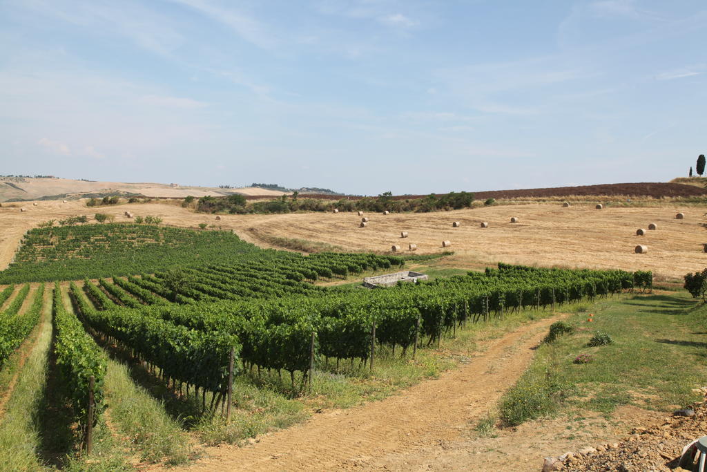 Agriturismo Bagnaia San Quirico dʼOrcia Kültér fotó